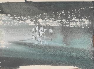 Jamal Ahmed - Untitled (Birds in the Centre)