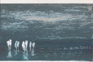 Jamal Ahmed - Untitled (Birds in the Corner)