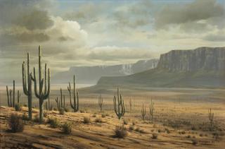 James A. Fetherolf - Desert landscape