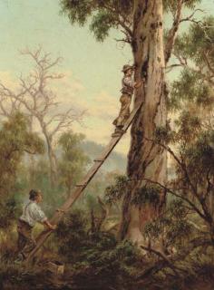 James Alfred Turner - Woodmen