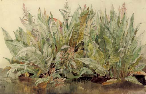 James Aumonier, R.A. - Study of dockleaves