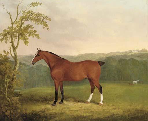 James Barenger - A bay carriage horse, the property of E. Fuller-Maitland, Esq., M.P.