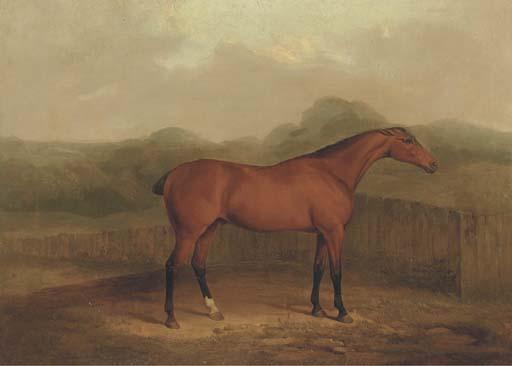 James Barenger - A Chestnut Racehorse In A Landscape