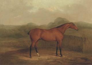 James Barenger - A Chestnut Racehorse In A Landscape