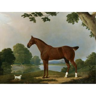 James Barenger - British Aconbury, A Hunter, And Coaxer, A Terrier, In A Landscape