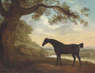 James Barenger - Nabob In A Landscape