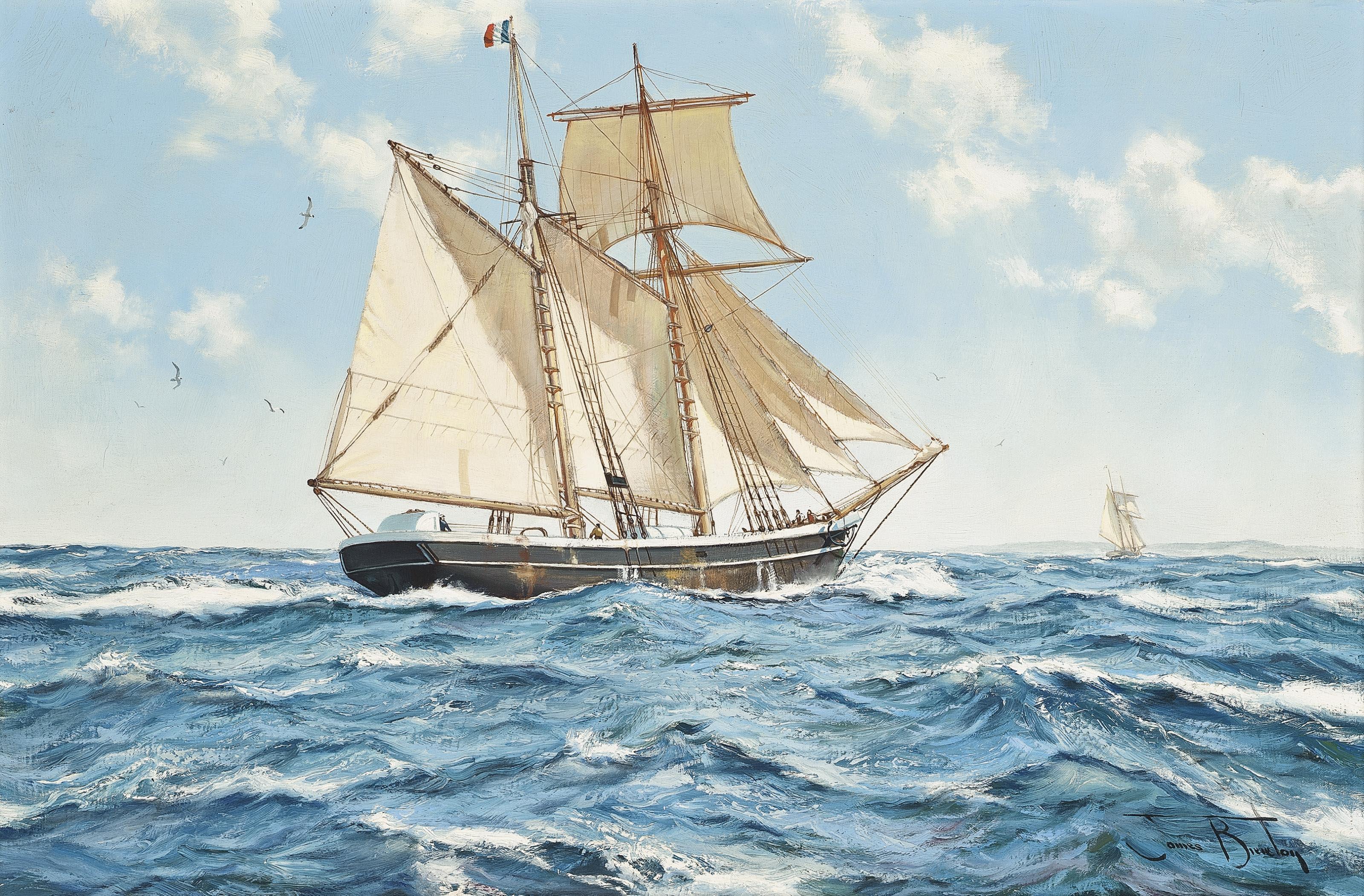 James Brereton - The topsail schooner Oceanide