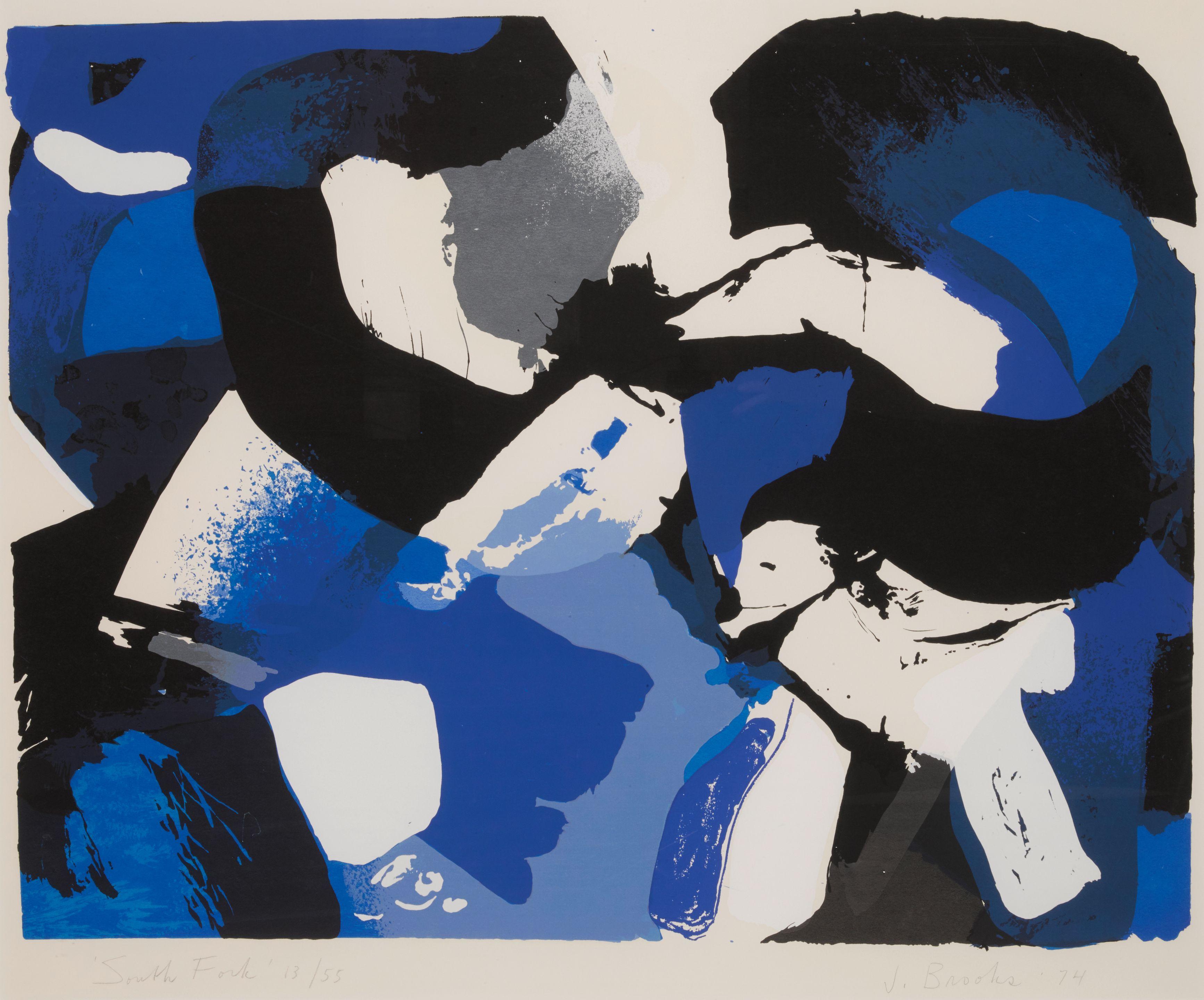 James Brooks - South Fork