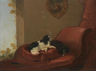 James Cassie Rsa Rsw - King Charles Spaniels