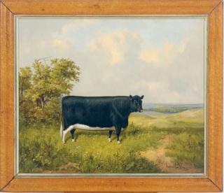 James Clark - A black and white cow in a landscape