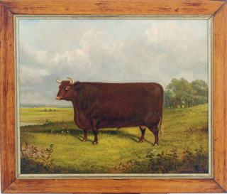 James Clark - A bull in a landscape