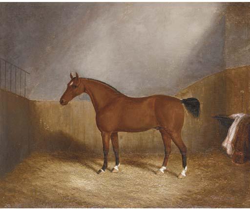 James Clark - A chestnut hunter in a stable