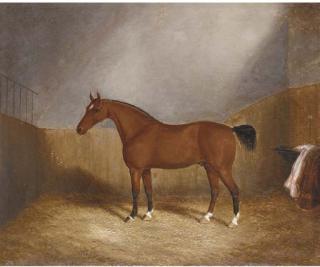 James Clark - A chestnut hunter in a stable