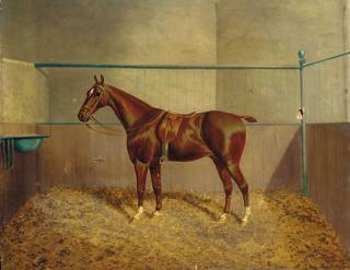 James Clark - A Saddled Chestnut Hunter In A Stable