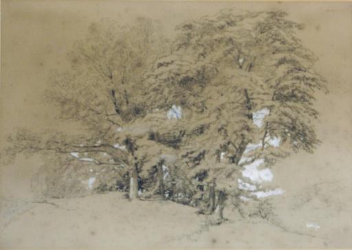 James Duffield Harding - A wooded landscape in Bolton, Yorkshire