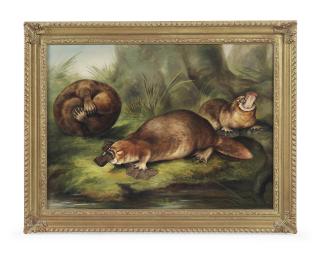 James E. Bourhill - Duck Billed Platypus