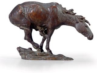 James Earle Fraser - \'Windswept\'