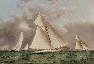 James Edward Buttersworth - Trials for Contenders for 1893 America\'s Cup Defense (Vigilant, Colonia, Jubilee and Pilgrim)