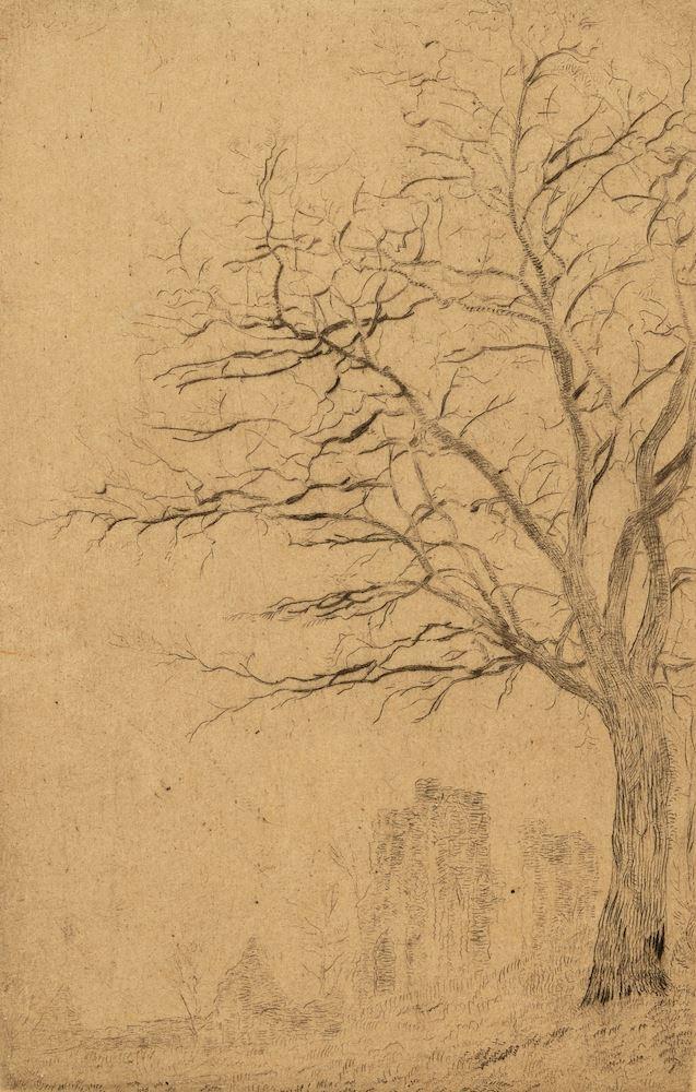 James Ensor - Acacias, 1888.