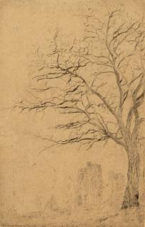 James Ensor - Acacias, 1888.