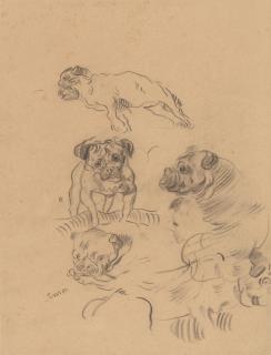 James Ensor - Etude de chiens