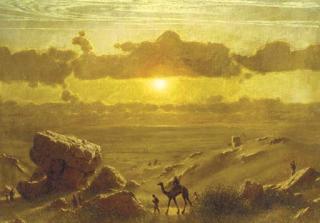 James Fairman - Camel trail in evening sunlight