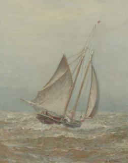 James Gale Tyler - The aprroaching storm