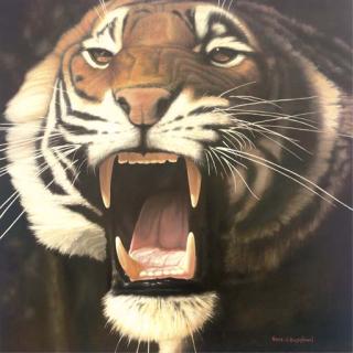 James H. Bartholomew - The Jaws of The Jungle