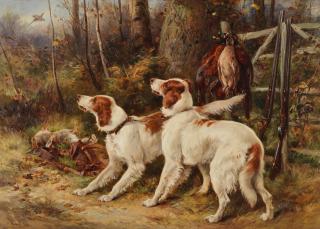 James Hardy, Jnr. - A day shooting