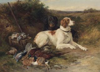 James Hardy, Jnr - A good day\'s sport