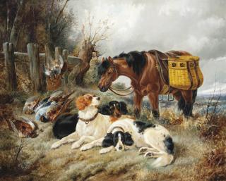 James Hardy - A successful shoot