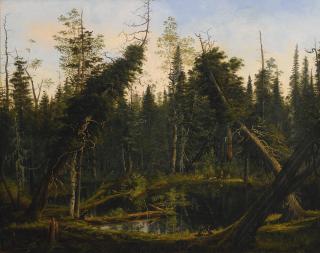 James Hope - Pond In The Woods