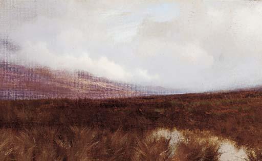 James Howard Lyon - Misty moorland