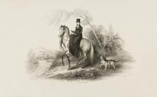 James Howe - Unknown