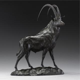 James Lippett Clark - American Sable Antelope