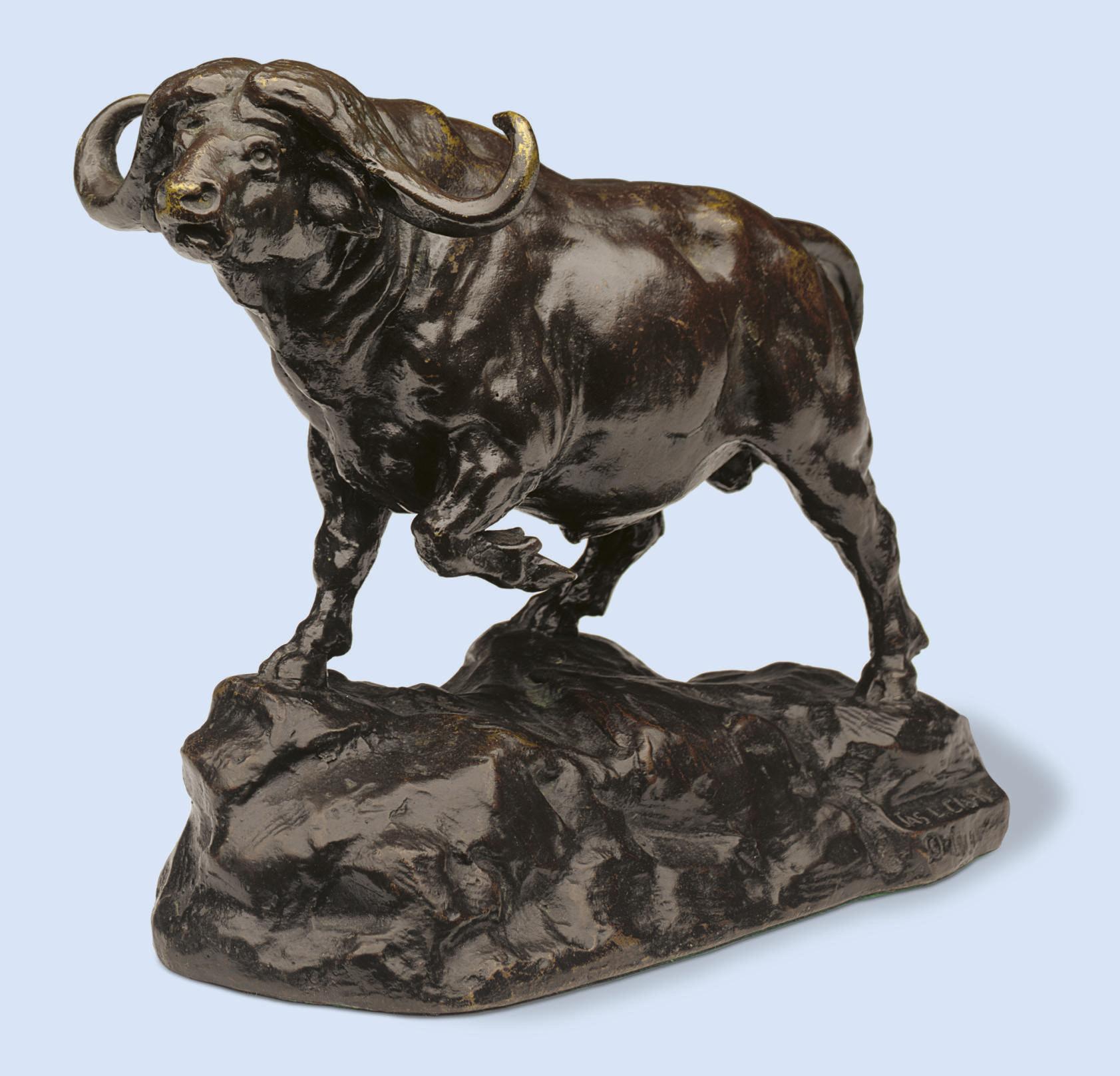 James Lippett Clark - Cape buffalo