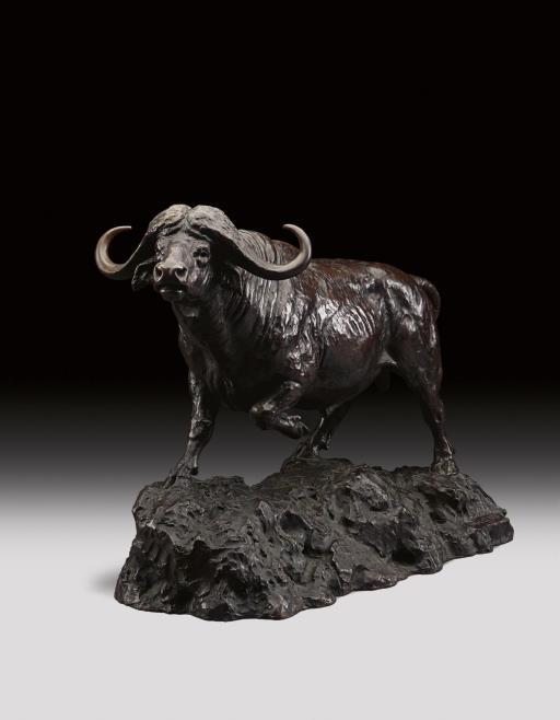James Lippett Clark - Cape Buffalo
