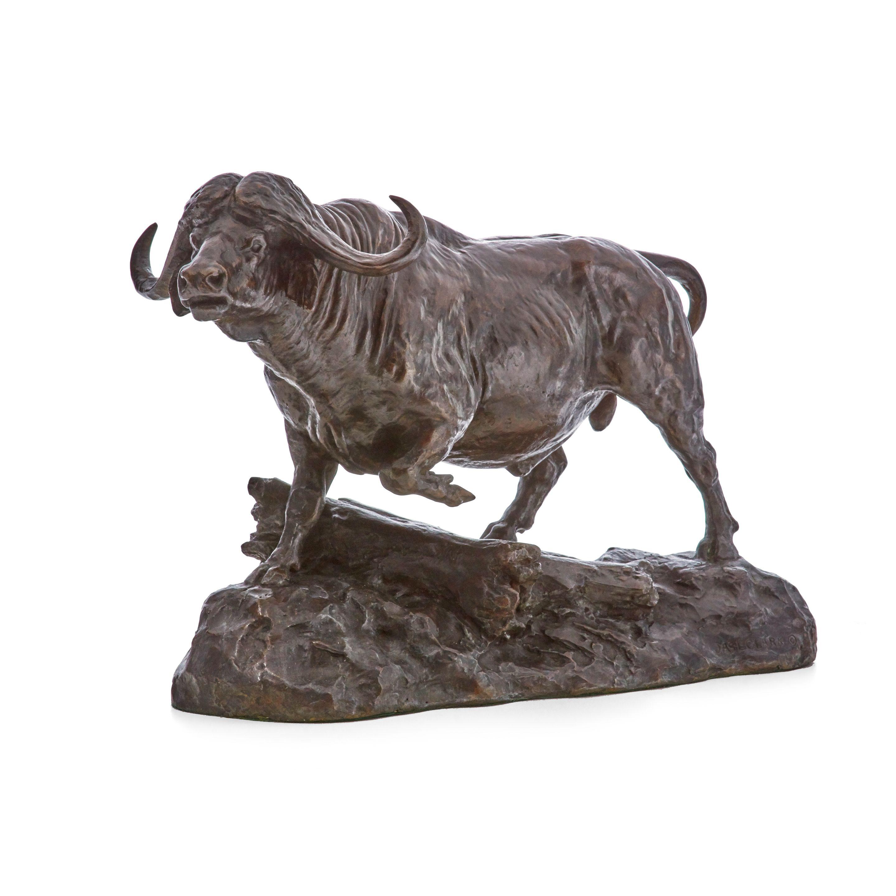 James Lippitt Clark - African Cape Buffalo