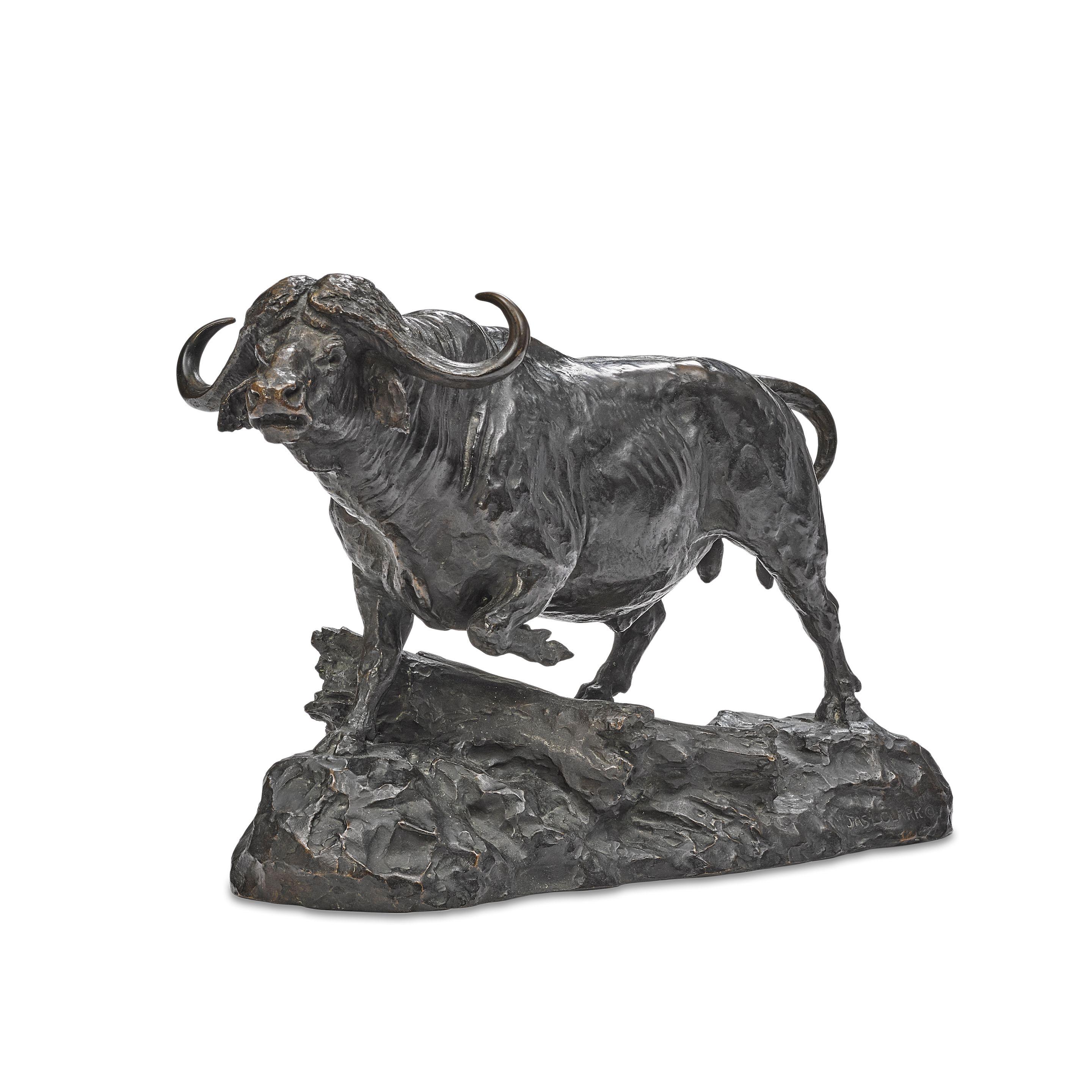 James Lippitt Clark - African Cape Buffalo