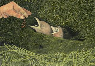 James Lloyd - Birds and Worm