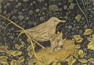 James Lloyd - Birds feeding