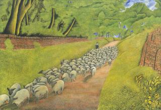 James Lloyd - Herding Sheep