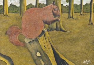 James Lloyd - Red Squirrel