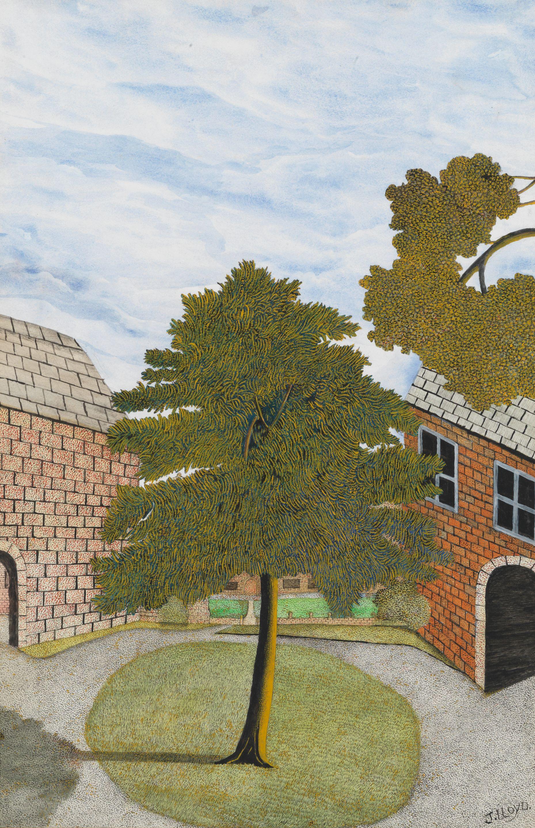 James Lloyd - Tree and Courtyard
