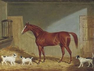 James Loder of Bath - A chestnut hunter, two terriers and a hound in a stable