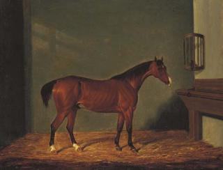 James Loder - A Bay Hunter in a Stable