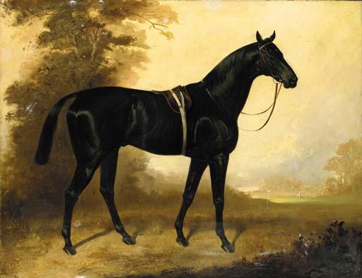 James Lynwood Palmer - A Black Stallion In A Landscape