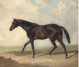 James Lynwood Palmer - A dark bay horse trotting