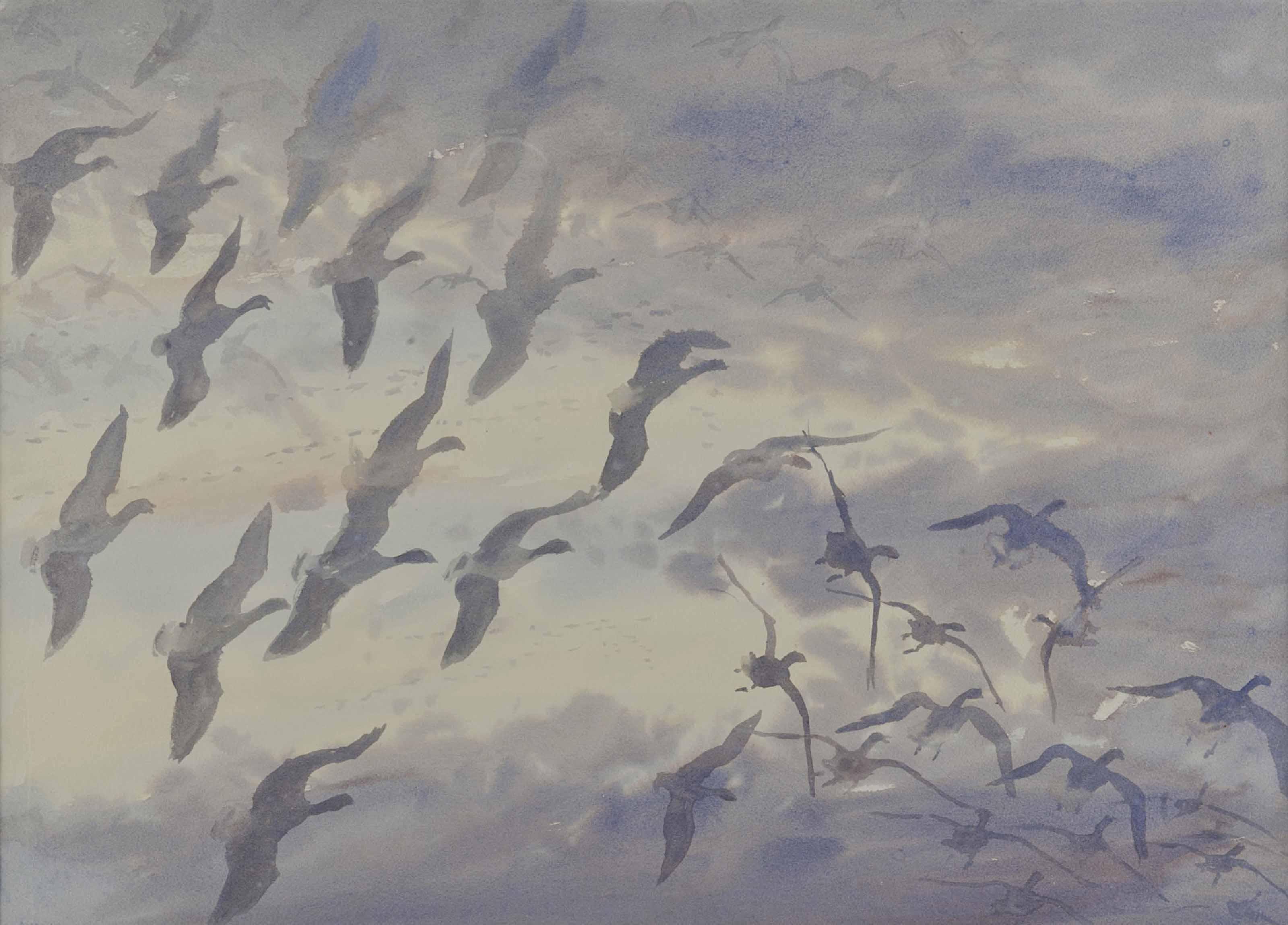 James Mccallum - Pink feet coming into land in the fog