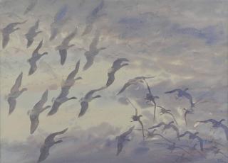James Mccallum - Pink feet coming into land in the fog